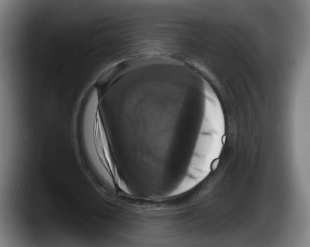 X0000087540626200705251720