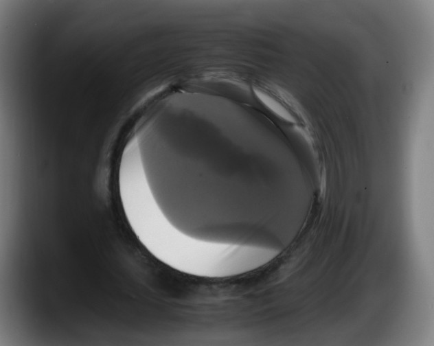 X0000087540627200705251720