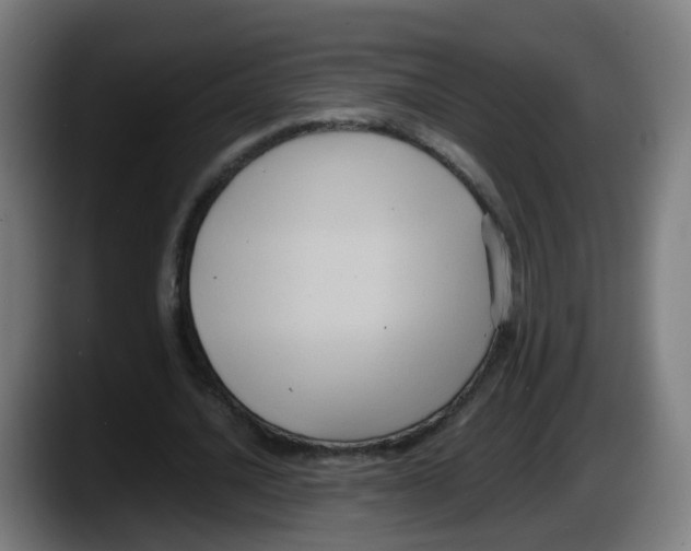 X0000087540628200705251720