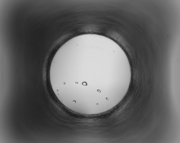 X0000087540629200705251720