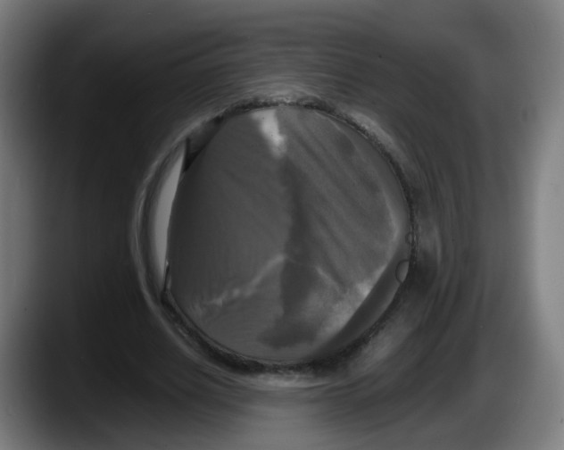 X0000087540630200705251720