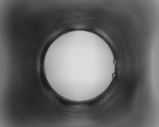 X0000087540631200705251720