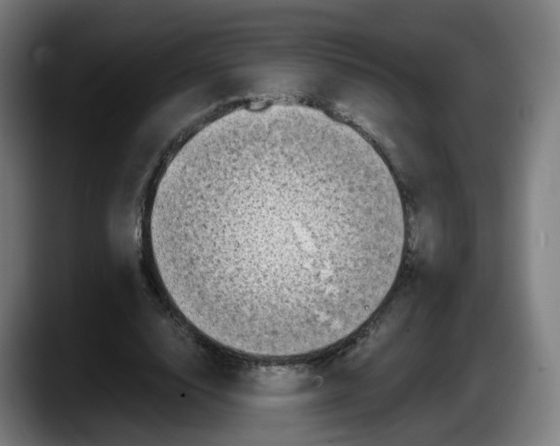 X0000087540632200705251720