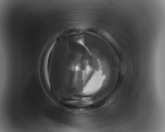 X0000087540634200705251720