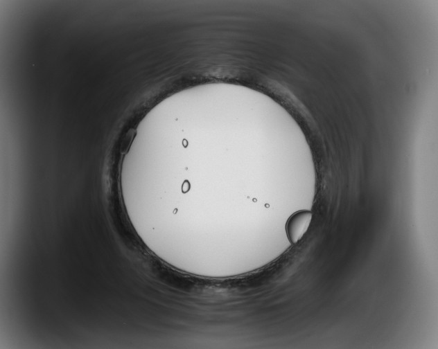 X0000087540635200705251720