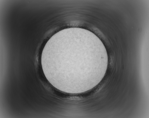 X0000087540636200705251720