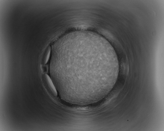 X0000087540638200705251721