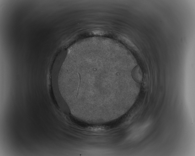 X0000087540639200705251721