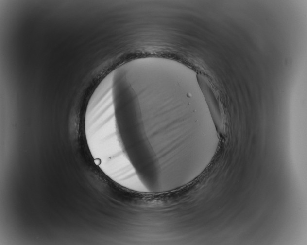 X0000087540640200705251721