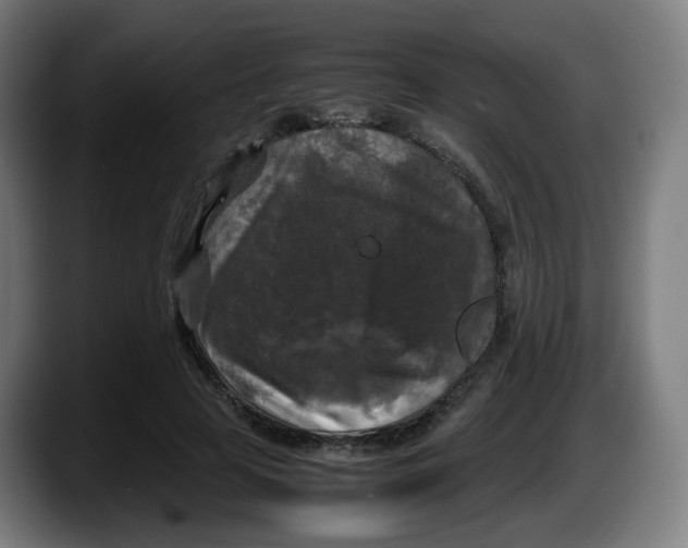 X0000087540641200705251721