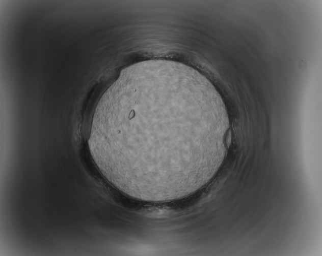 X0000087540642200705251721