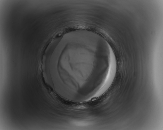 X0000087540643200705251721