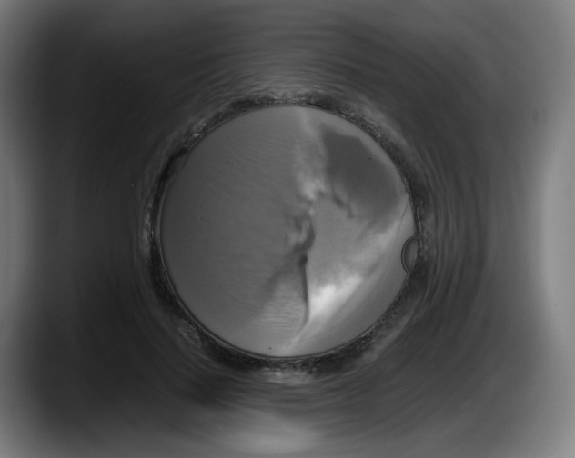 X0000087540644200705251721