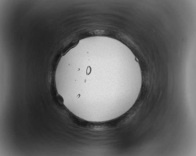 X0000087540645200705251721