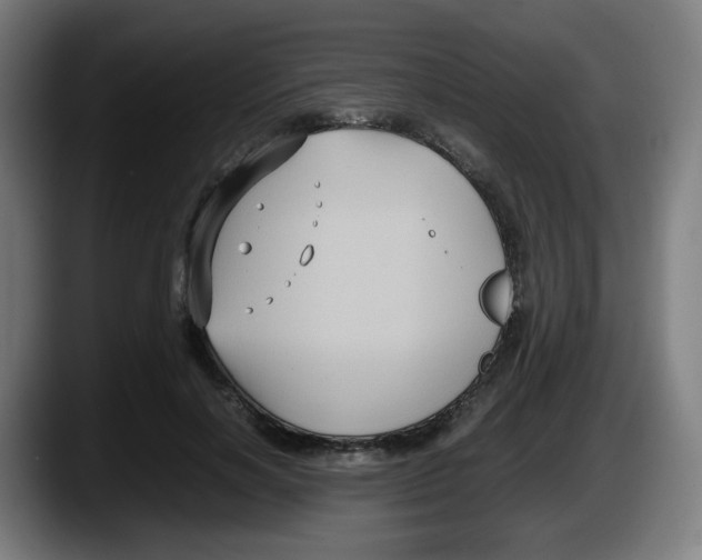 X0000087540646200705251721