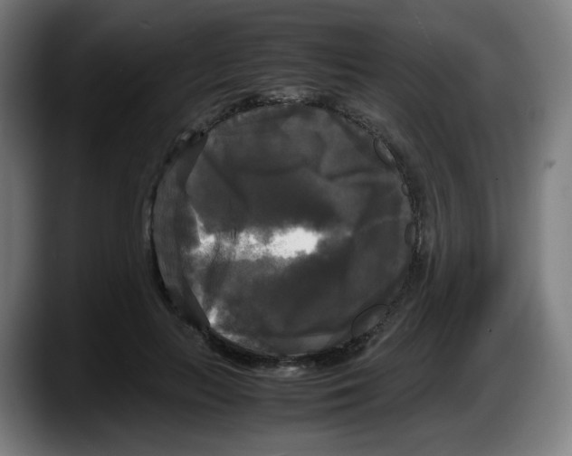 X0000087540647200705251721