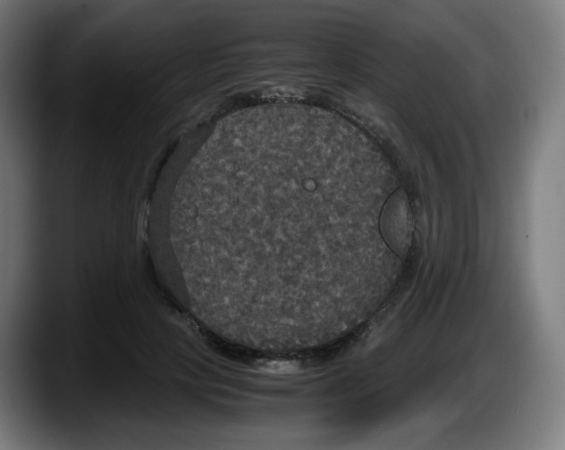 X0000087540649200705251721