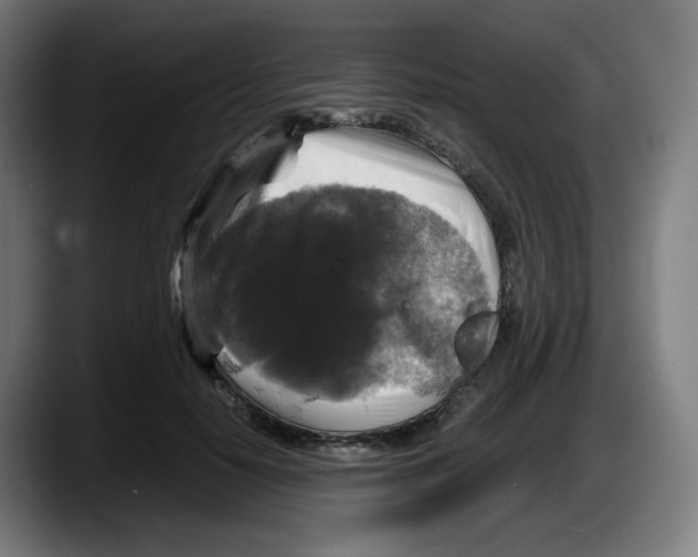 X0000087540650200705251721