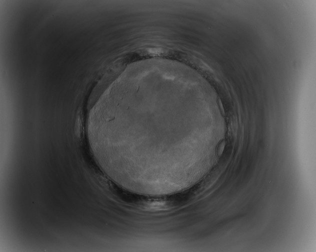 X0000087540651200705251721