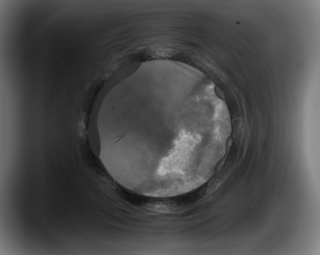 X0000087540655200705251721