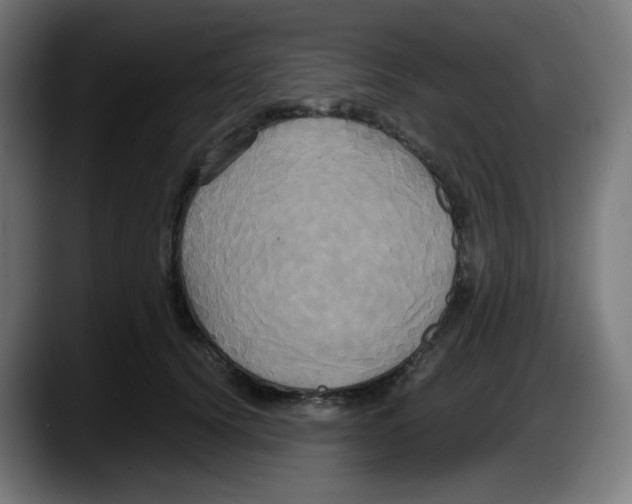 X0000087540656200705251721