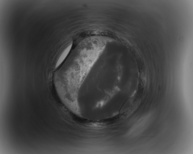 X0000087540657200705251721