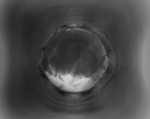 X0000087540659200705251721