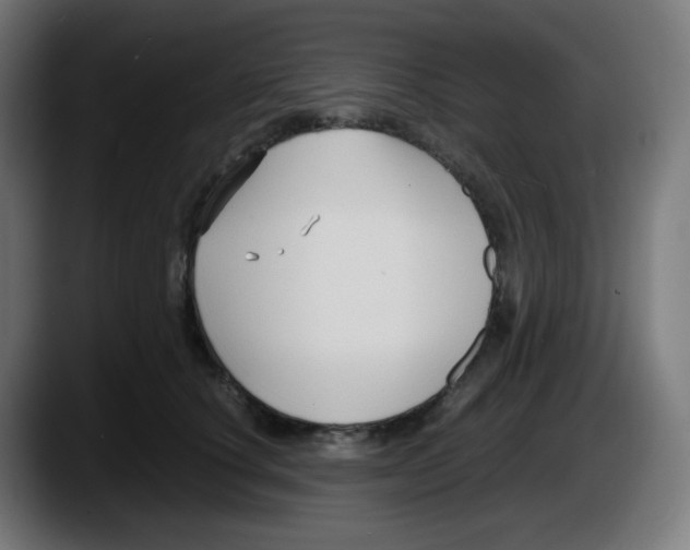 X0000087540660200705251721