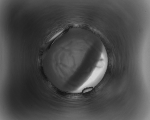 X0000087540661200705251721