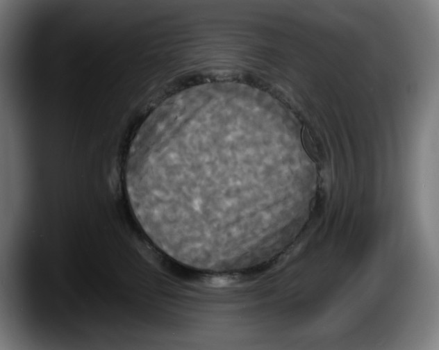 X0000087540662200705251721