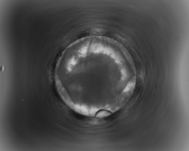 X0000087540663200705251721