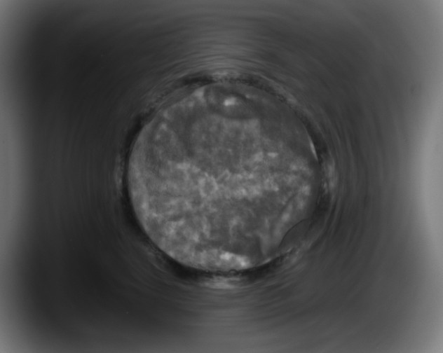 X0000087540664200705251721