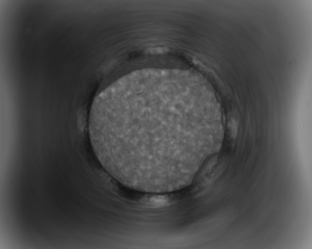 X0000087540665200705251721