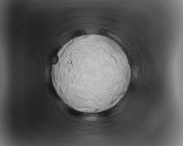 X0000087540667200705251721