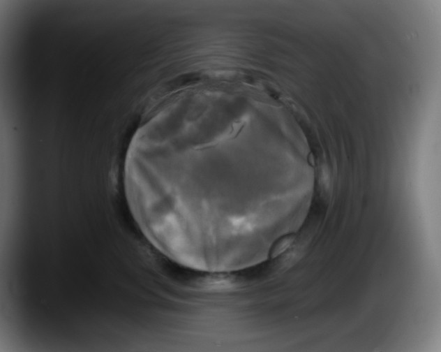 X0000087540668200705251721