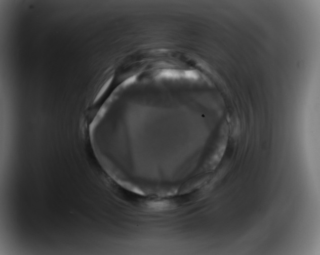 X0000087540669200705251721