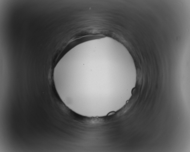 X0000087540670200705251721