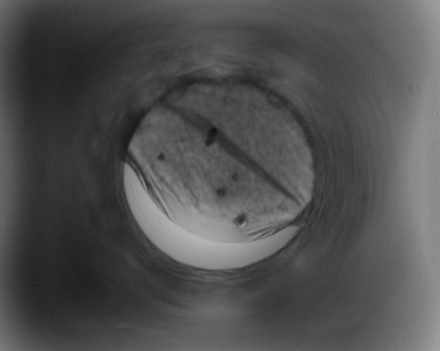 X0000087540672200705251721