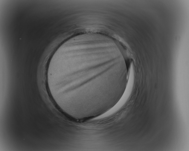 X0000087540673200705251720