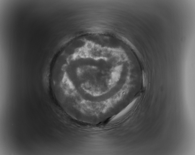 X0000087540675200705251720