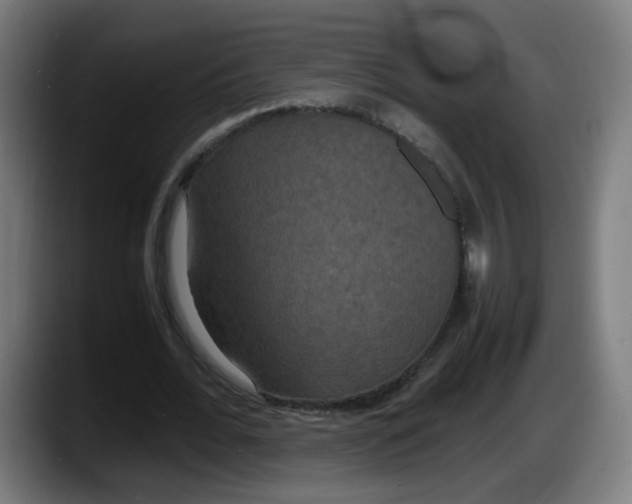 X0000087540676200705251720