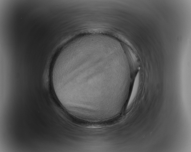 X0000087540677200705251720