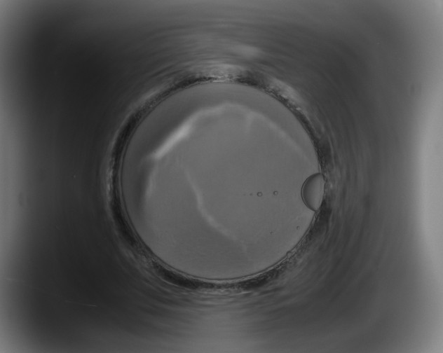 X0000087540679200705251720