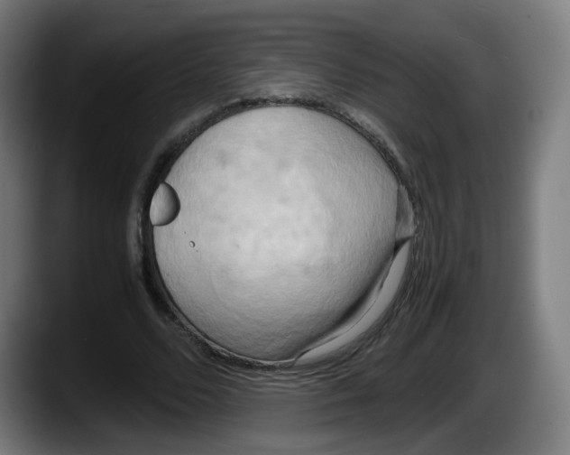 X0000087540680200705251720