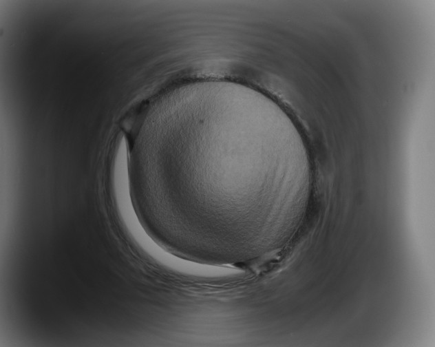 X0000087540681200705251720