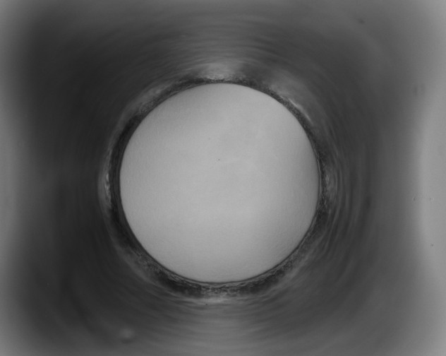 X0000087540682200705251720