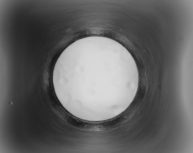 X0000087540683200705251720