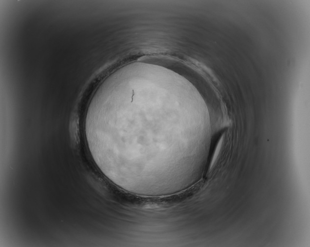 X0000087540684200705251720