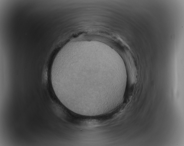 X0000087540685200705251720