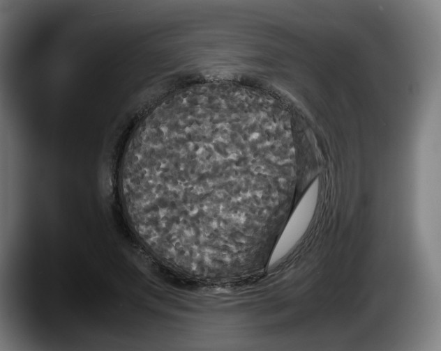 X0000087540687200705251720